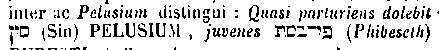 [Hebrew Text]