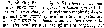 [Hebrew Text]