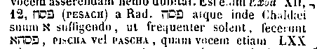 [Hebrew Text]