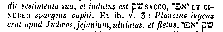 [Hebrew Text]