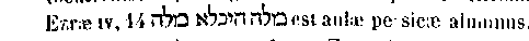 [Hebrew Text]