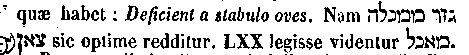 [Hebrew Text]