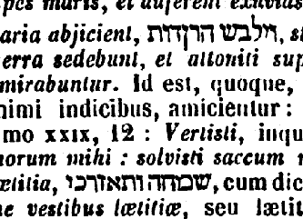 [Hebrew Text]