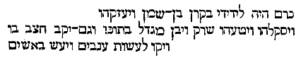 [Hebrew Text]
