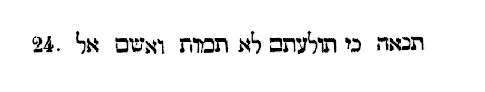 [Hebrew Text]