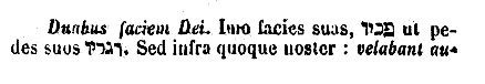 [Hebrew Text]