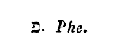 [Hebrew text]