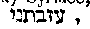 [Hebrew Text]