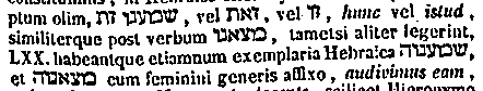 [Hebrew Text]