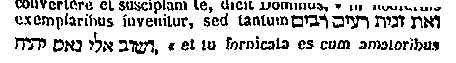 [Hebrew Text]
