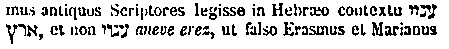[Hebrew Text]