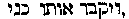 [Hebrew Text]