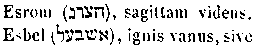 [Hebrew Text]