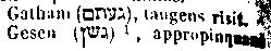 [Hebrew Text]
