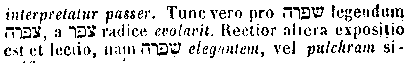 [Hebrew Text]