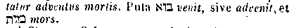 [Hebrew Text]