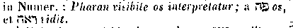 [Hebrew Text]