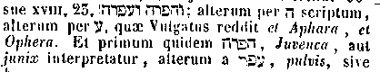 [Hebrew Text]