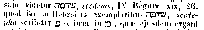 [Hebrew Text]