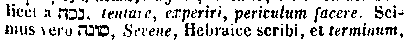 [Hebrew Text]