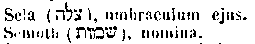 [Hebrew Text]