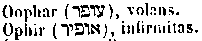 [Hebrew Text]