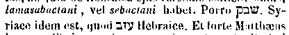[Hebrew Text]
