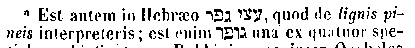 [Hebrew Text]