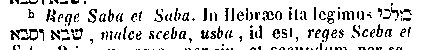 [Hebrew Text]