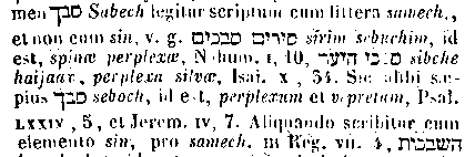 [Hebrew Text]