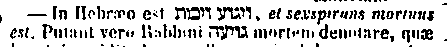 [Hebrew Text]