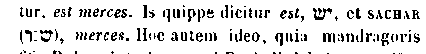 [Hebrew Text]