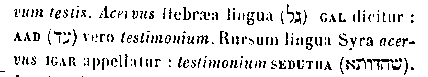 [Hebrew Text]