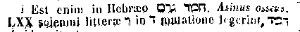 [Hebrew Text]