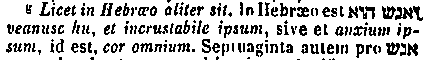 [Hebrew Text]
