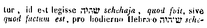 [Hebrew Text]