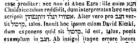 [Hebrew Text]
