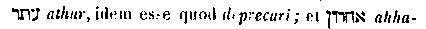 [Hebrew Text]