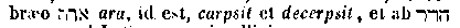 [Hebrew Text]