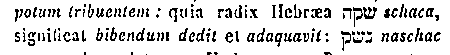 [Hebrew Text]