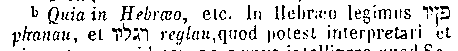 [Hebrew Text]