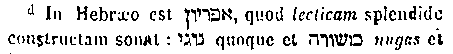 [Hebrew Text]