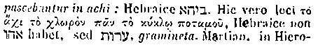 [Hebrew Text]
