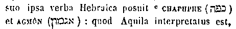 [Hebrew Text]