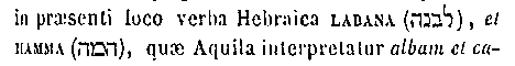 [Hebrew Text]