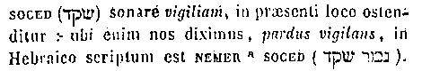 [Hebrew Text]