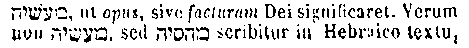 [Hebrew Text]