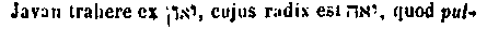 [Hebrew Text]