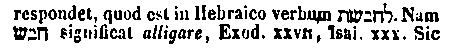 [Hebrew Text]