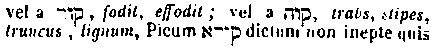 [Hebrew Text]